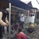 Amankan Aset dan Fasum, Satpol PP Surabaya Tertibkan 22 Bangunan Liar di Ketintang Permai