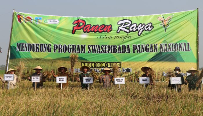 Dukung Swasembada Pangan Nasional, Kodim 0809 Kediri Bersama Pemda Gelar Panen Raya