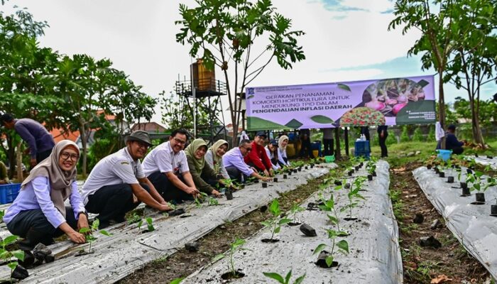 Pemkot Surabaya Ajak Warga dan Petani Tanam Serentak, Kendalikan Harga Pangan Jelang Akhir Tahun