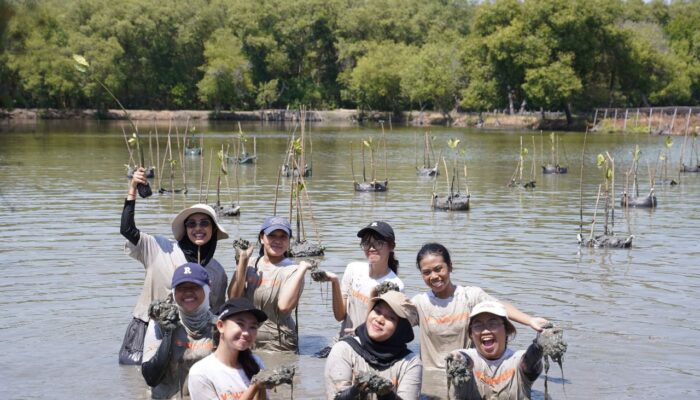 Pemkot Surabaya dan WVI Tanam 1.000 Mangrove di Kawasan Pesisir Wonorejo Tanam 1.000 Bibit Mangrove, Kolaborasi Pemkot-WVI Jaga Kelestarian Lingkungan Pesisir Surabaya
