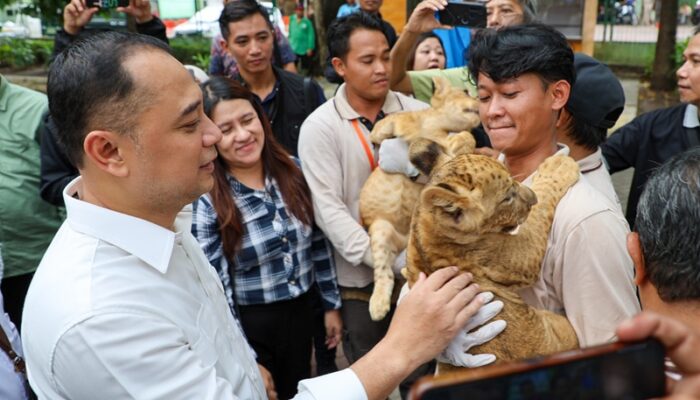 Cari Dirut KBS yang Perkuat Konservasi dan Edukasi, Pemkot Surabaya Umumkan Hasil Seleksi
