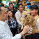 Cari Dirut KBS yang Perkuat Konservasi dan Edukasi, Pemkot Surabaya Umumkan Hasil Seleksi