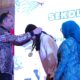 Pemkot dan PKK Surabaya Terus Perkuat Pendidikan Keluarga lewat Program Kemangi