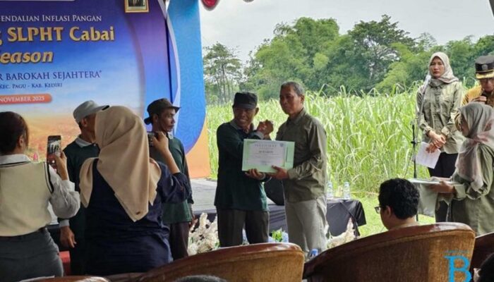 Pemkab Kediri Beri Kesempatan Petani Cabai Sekolah Lapang Pengendalian Hama