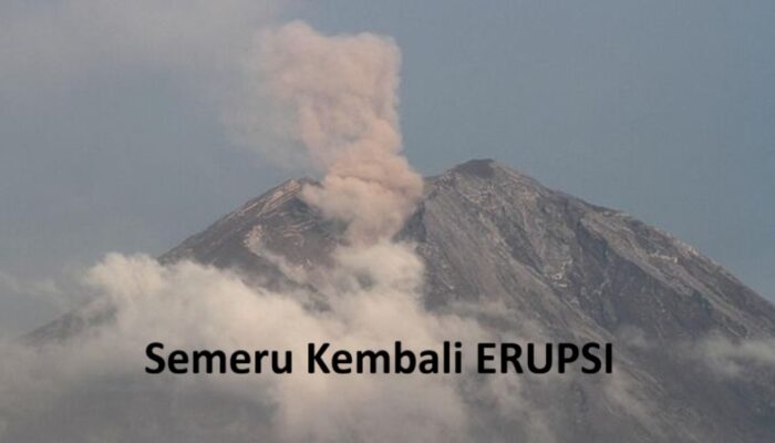 ​Awas Erupsi Semeru, KI Jatim: Badan Publik Wajib Penuhi Informasi Kedaruratan atau Serta Merta