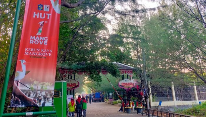 Tren Wisata Edukasi Naik, Kebun Raya Mangrove Surabaya Catat 86 Ribu Pengunjung
