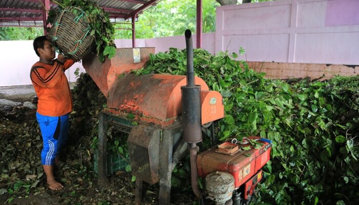 Rumah Kompos Tekan Timbulan Sampah, DLH Surabaya Hemat Rp6,73 Miliar per Tahun
