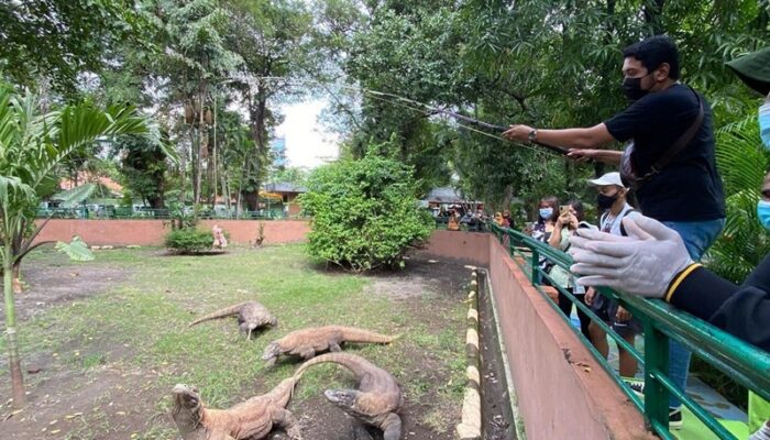 KBS Jadi Pilihan Libur Keluarga, 40 Ribu Pengunjung Datang Selama Libur Lebaran 2026