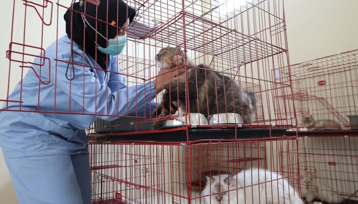 Jelang Lebaran 2026, Pemkot Surabaya Buka Layanan Titip Hewan Peliharaan di Puskeswan