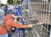 Edukasi Seru di Mini Zoo Adi Buana: Destinasi Kunjungan Inovatif untuk Anak Usia Dini