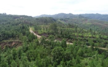 SIG Percepat Transformasi Hijau, Manfaatkan Limbah Jadi Energi hingga Reklamasi Tambang