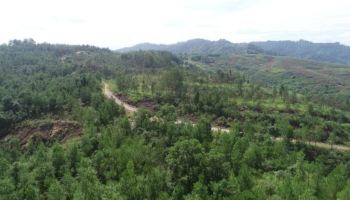 SIG Percepat Transformasi Hijau, Manfaatkan Limbah Jadi Energi hingga Reklamasi Tambang