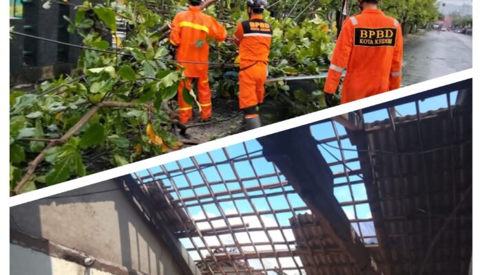 Respon Cepat BPBD Kota Kediri Tangani Pohon Tumbang di 13 Titik