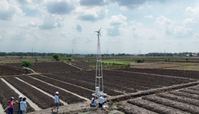 Raih Top 6 di Amerika Serikat, Inovasi Terangin ITS Jadi Solusi Cerdas untuk Petani