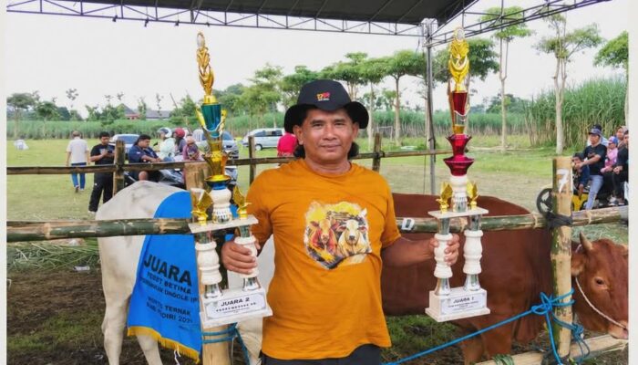 Dukung Produktivitas Ternak, Pemkab Kediri Gelar Kontes Sapi Berhadiah Fantastis