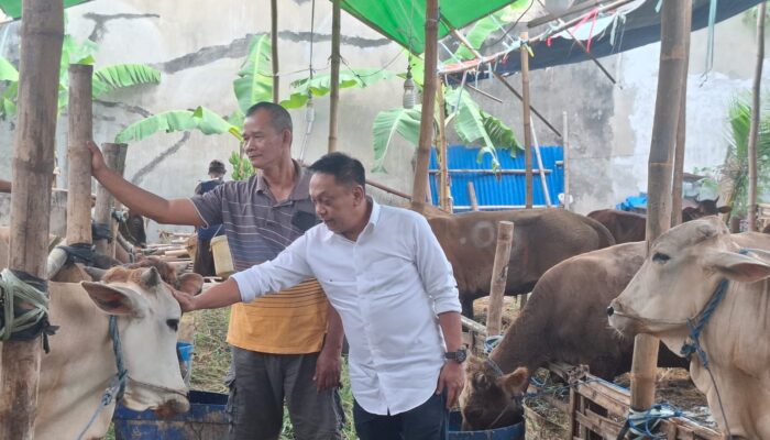 DPRD Surabaya Soroti Penataan Lapak Kurban, Kelurahan Diminta Tak Hanya Urus Administrasi