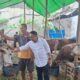 DPRD Surabaya Soroti Penataan Lapak Kurban, Kelurahan Diminta Tak Hanya Urus Administrasi