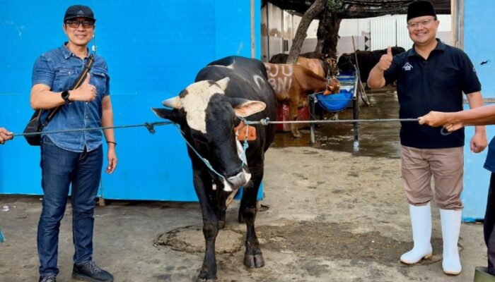 Gandeng RPH Pegirian, PAM Surya Sembada Tebar 13 Sapi Kurban ke Masjid dan Ponpes