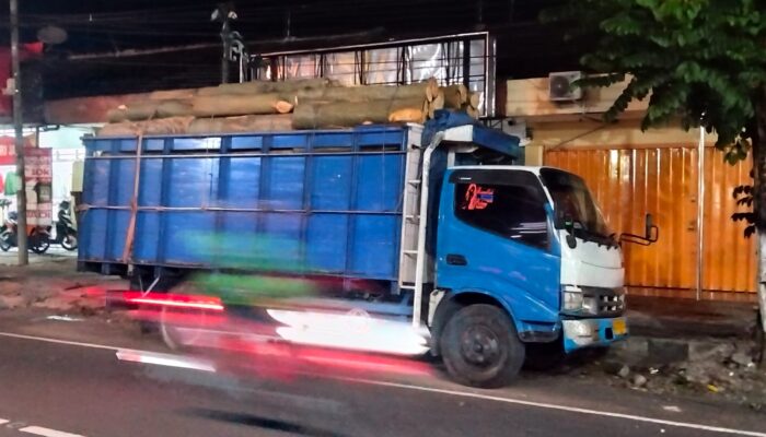 Dua Terduga Pelaku Pengangkut Kayu Ilegal Diciduk Polres Kediri, LSM Desak Polisi Bongkar Aktor Utama