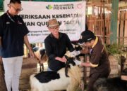 SIG Salurkan 292 Hewan Kurban untuk Masyarakat di 19 Provinsi