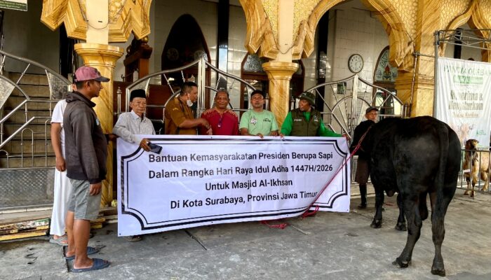 Pemkot Surabaya Salurkan Sapi Kurban Banpres 850 Kilogram ke Masjid Al Ikhsan