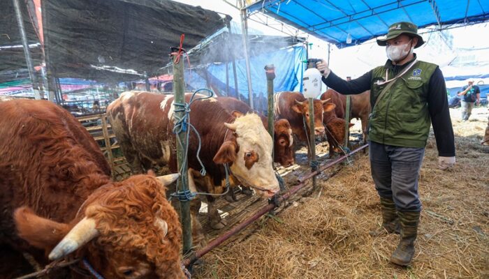 Jelang Iduladha, Sekolah Diminta Terapkan Prinsip Sukarela dalam Kegiatan Kurban
