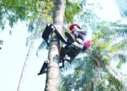 Mocits ITS Permudah Petani Kelapa, Panen Lebih Aman dan Efisien
