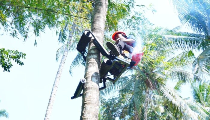 Mocits ITS Permudah Petani Kelapa, Panen Lebih Aman dan Efisien