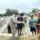 Kadis Perikanan Kediri Gandeng Masyarakat Perangi Praktik Setrum dan Potas Ikan di Sungai