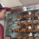 Patricia Bella Luncurkan Roastinc Chicken di Surabaya, Usung Ayam Roasted Bercita Rasa Nusantara
