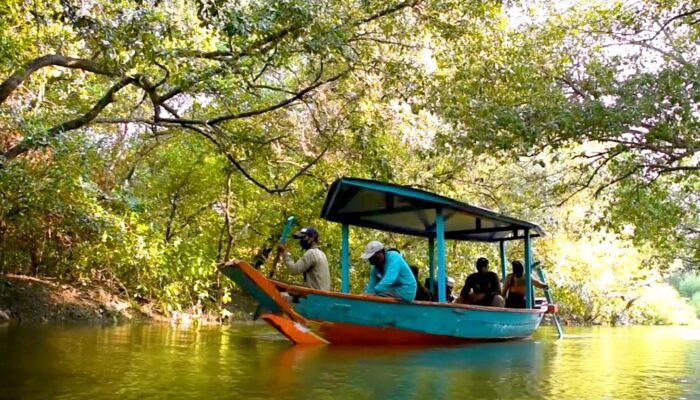 Burung hingga Kucing Bakau Jadi Bukti Ekosistem Kebun Raya Mangrove Surabaya Terjaga