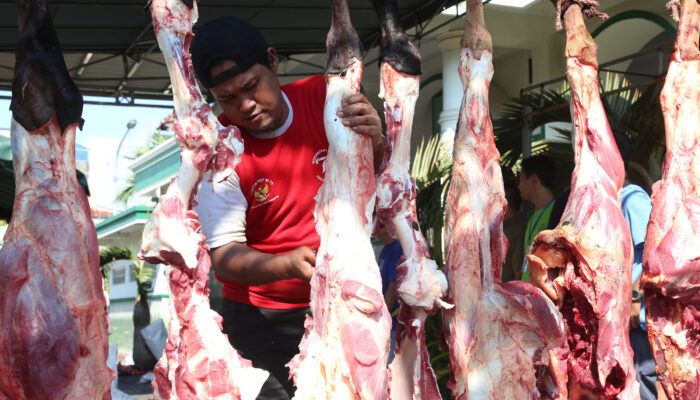 Pemkot Surabaya Pastikan Daging Kurban Aman, Organ yang Terindikasi Penyakit Tidak Diedarkan