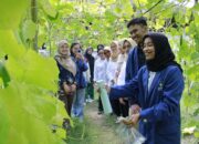Mahasiswa ITS Kembangkan Nanopestisida Tahan Hujan dan Sinar UV, Tingkatkan Efektivitas Pengendalian Hama