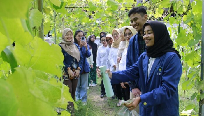 Mahasiswa ITS Kembangkan Nanopestisida Tahan Hujan dan Sinar UV, Tingkatkan Efektivitas Pengendalian Hama
