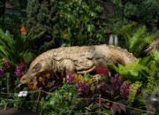 Indonesia Jadi Negara ASEAN Pertama Tampilkan Instalasi Budaya di Gardens by the Bay Singapura