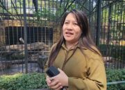 KBS Pastikan Seluruh Satwa Sehat, Perawatan Mengacu Prinsip Animal Welfare