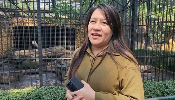 KBS Pastikan Seluruh Satwa Sehat, Perawatan Mengacu Prinsip Animal Welfare
