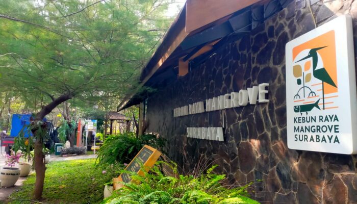 Perkuat Fungsi Riset, BRIDA Surabaya Targetkan KRM Gunung Anyar Miliki 100 Jenis Mangrove