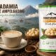 Macadamia Coffee Ampelgading Tawarkan Sensasi Creamy, Angkat Potensi Macadamia Lereng Semeru