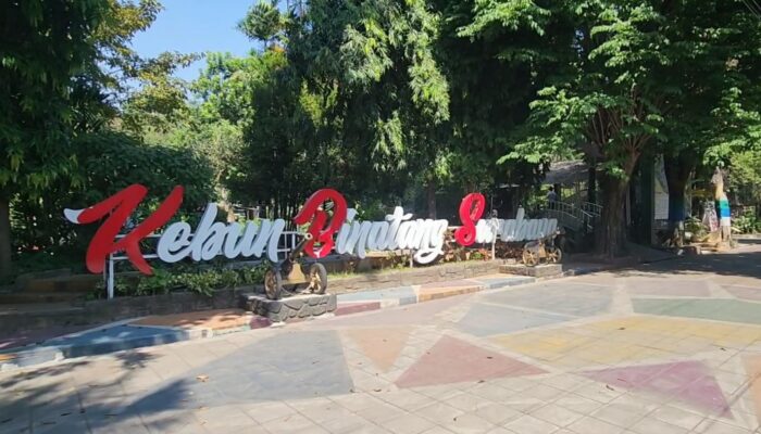 24 Pelamar Ikuti Seleksi Direksi Perumda Kebun Binatang Surabaya