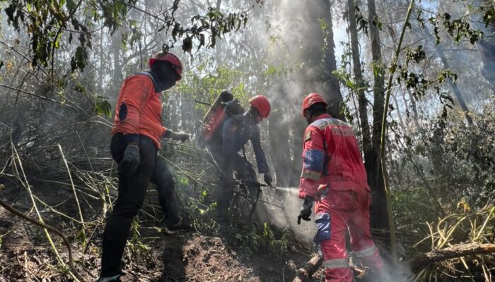 Pemkot Surabaya Kirim Damkar Bantu Padamkan Karhutla di Kawasan Bromo